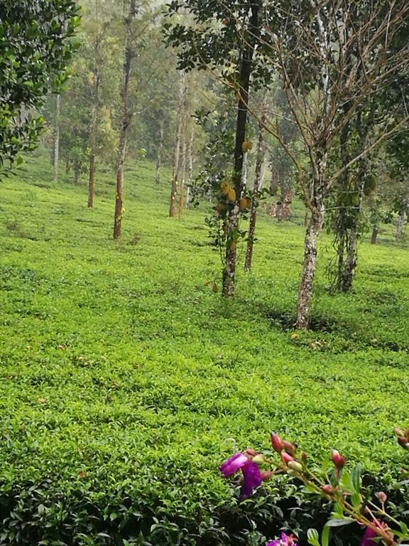 הוילה סולטאן באטרי Harmony Farm Wayanad מראה חיצוני תמונה