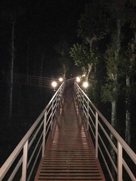 הוילה סולטאן באטרי Harmony Farm Wayanad מראה חיצוני תמונה
